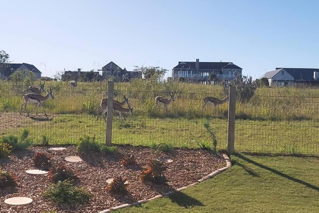 The Halfway House @ Kingswood Golf Estate Βίλα George Εξωτερικό φωτογραφία